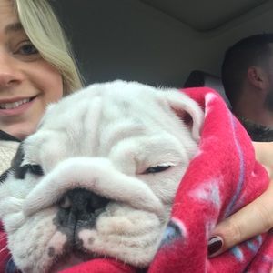 Meet your Posher, Fallon